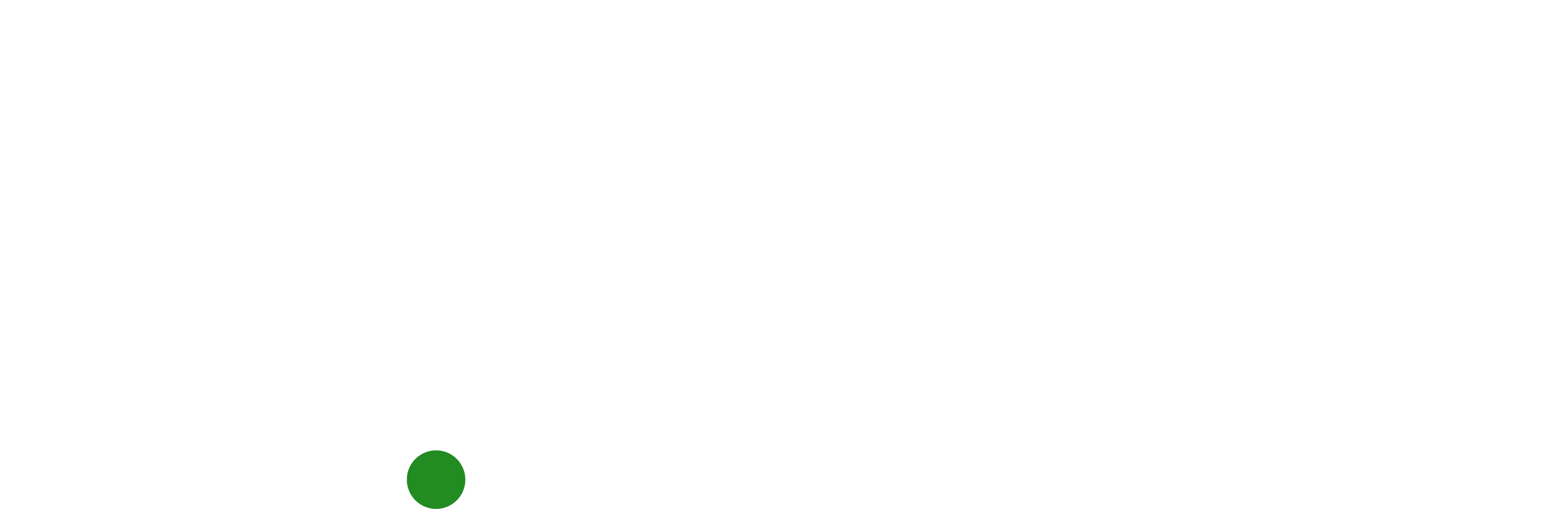 FirstPoint Services